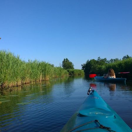 B&B De Zilverreiger Belt-Schutsloot Esterno foto