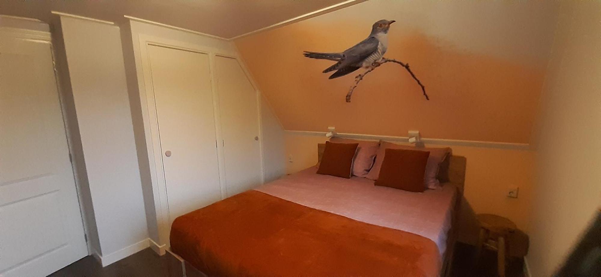 B&B De Zilverreiger Belt-Schutsloot Esterno foto