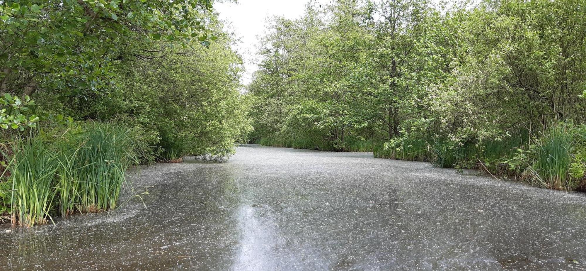 B&B De Zilverreiger Belt-Schutsloot Esterno foto