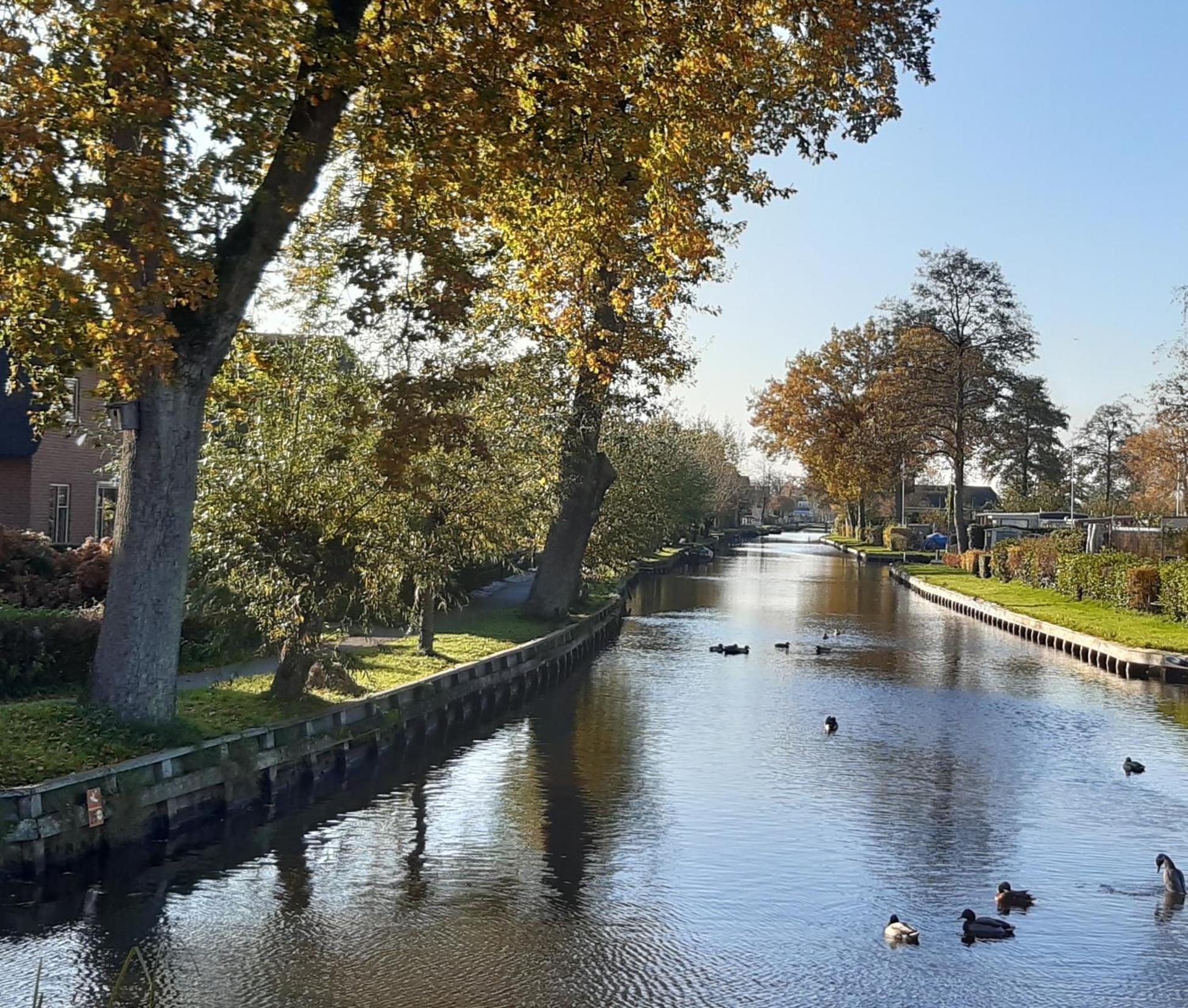 B&B De Zilverreiger Belt-Schutsloot Esterno foto